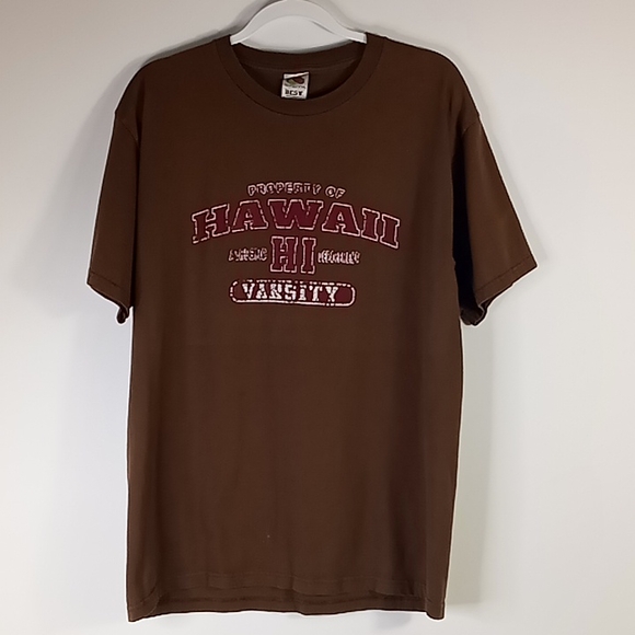 Hawaii Variety Distressed Brown Tshirt Size L - Picture 4 of 12